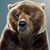 Bear Garlach's profile image