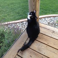 Charles Drake's profile image