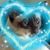 Vikki Amb Lesniak's profile image