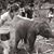Evelyn Rothenberg's profile image