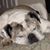 Matthew Boyer's profile image