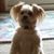 Karen Christenson's profile image