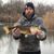 Josh Hedrick's profile image