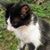 Maria Coromoto Jerez de Gonzalez's profile image