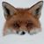 Pamela Bobalik White's profile image