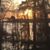Becky Brown Savant's profile image