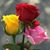 Imelda Bautista's profile image