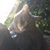 Sarah Rhodes's profile image