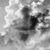 Dean Carson Israel's profile image