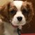 Judy Smith's profile image