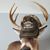 Peter Beyer's profile image