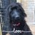 Melissa Shepet Born's profile image