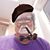 Rob Hogan's profile image