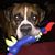 Pat Birkes's profile image