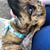 Ellen Wichman Warner's profile image