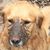 Linda Grenier's profile image