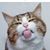 Donald Truitt's profile image