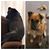 Stacey Scovel Pitman's profile image