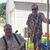 Diane Detty Green's profile image