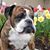Kris Martin Howell's profile image