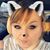 Shauna Maeyaert Schuldt's profile image