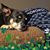 Mary Heiden's profile image