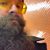 Andrew Silva's profile image