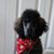 Frances Young's profile image