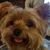 Kathryn-Katee Capeto's profile image