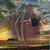 Donna Hopkins's profile image