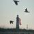 Lindsay Jenkins Ratliff's profile image