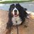 LD Prindle's profile image