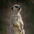 Heide Porter's profile image