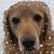 Deb Hinds Nagle's profile image