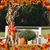 Kathy Volkening's profile image