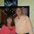 Lisa Doti Olito's profile image