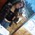 Emily Sciosciole's profile image