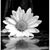 Amanda Wendland Lott's profile image