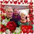 Dennis Wolfgang's profile image