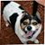 Chris D. Fink's profile image