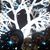 Kimberly Pieper's profile image