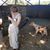 Jessie Marie's profile image
