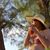 Jenny Halyard's profile image