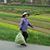Pam Smith's profile image