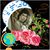 Ernesto Sanchez's profile image