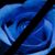 Rodney E Dixon's profile image