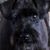 Emily Evans Howell's profile image