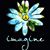 Donna Sue Moyer's profile image