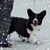 Cathy Ochs-Cline's profile image