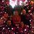 Kimberly Zins's profile image